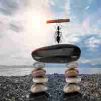 react 页﻿面﻿刷​新​